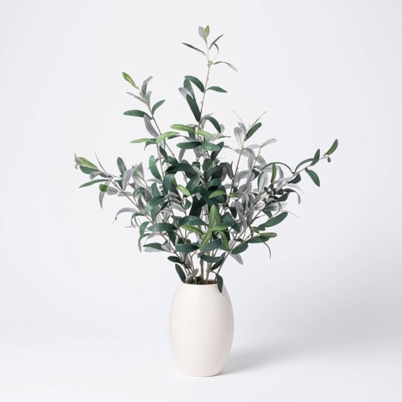 THRESHOLD Studio McGee Olive Plant Arrangement NWT